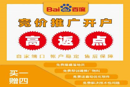 案例分享：竞价托管助力电商广告投放